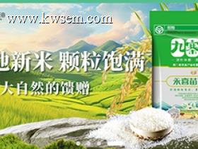 凤台日福米面商城小程序开发案例（示例）